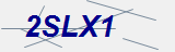 Security Code Text Graphic