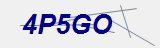 Security Code Text Graphic